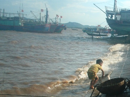 Ngày hè đi lột vỏ tôm - 5