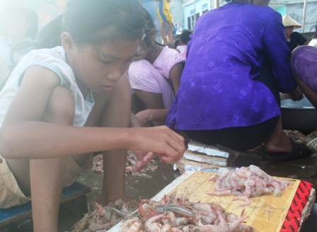 Ngày hè đi lột vỏ tôm - 3