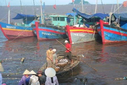Ngư dân Thanh Hóa kiên trì bám biển   - 2