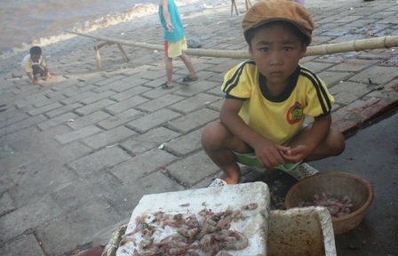 Ngày hè đi lột vỏ tôm - 7