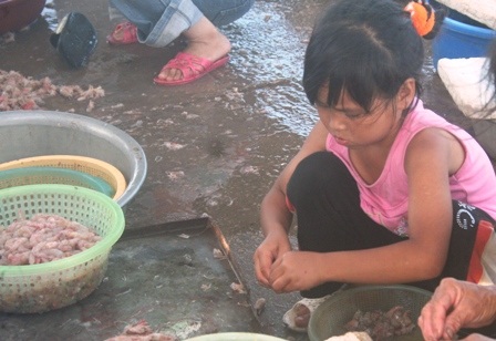 Ngày hè đi lột vỏ tôm - 1