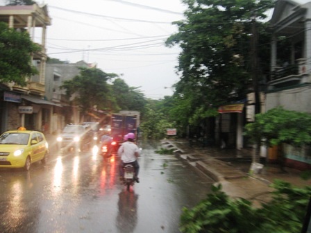 Mưa lớn, nhiều cây cối gãy đổ, ùn tắc kéo dài    - 4