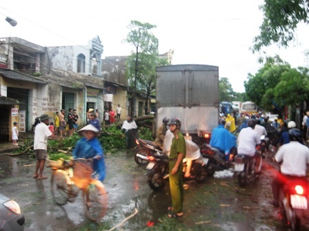 Mưa lớn, nhiều cây cối gãy đổ, ùn tắc kéo dài    - 1