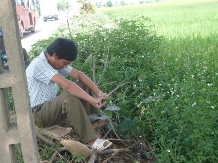 “Toát mồ hôi” cùng con đi thi - 1