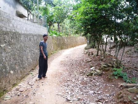 Nhà máy Giấy nằm trên… giấy - 2