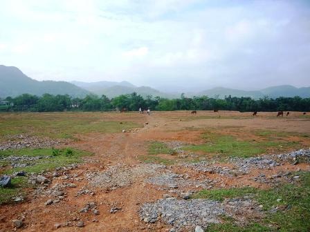 Nhà máy Giấy nằm trên… giấy - 1