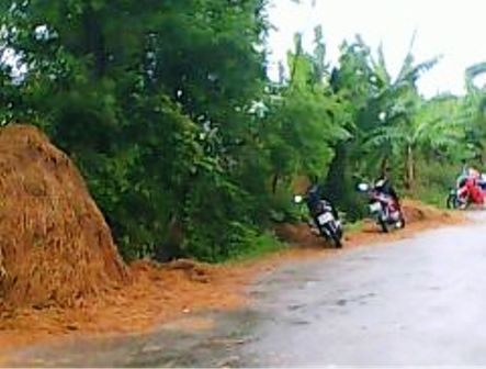 Phát hiện xác một nữ sinh bên đường - 1 Phát hiện xác một nữ sinh bên đường - 1