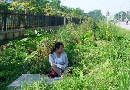 Con vượt vũ môn, mẹ cha “vượt” nắng - 1