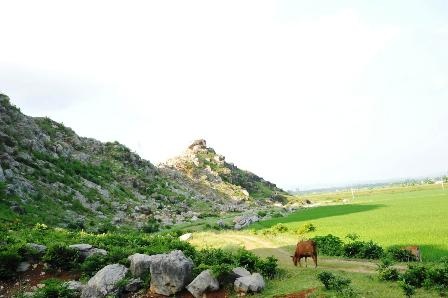 Phát hiện công trường khai thác, chế tác đá cổ xây Thành Nhà Hồ   - 9