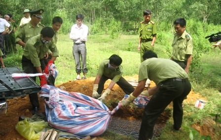 Tiêu hủy 10 cá thể báo gấm, beo lửa    - 2