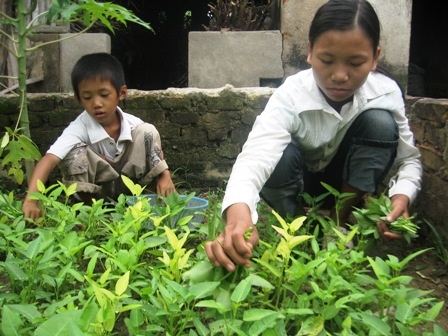 Cảnh sống cơ cực của cô bé 14 tuổi nuôi em ăn học   - 2