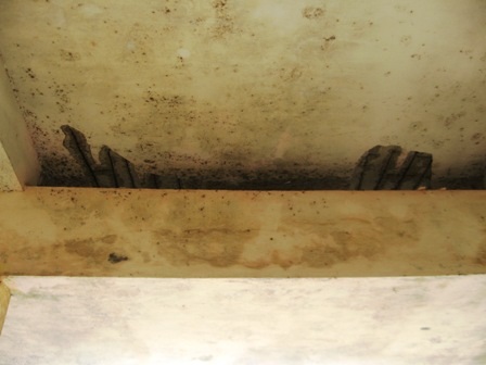 Trường bỏ hoang, học sinh đi “ở nhờ” - 4