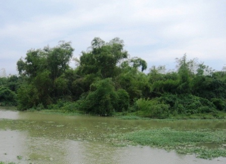 Thanh Hóa: Về thăm "Đảo cò" Tiến Nông  - 1