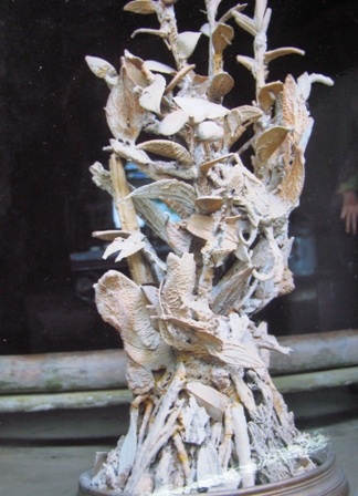 “Hét giá” 1,5 triệu “đô” cho cây gần hóa thạch - 5 “Hét giá” 1,5 triệu “đô” cho cây gần hóa thạch - 5