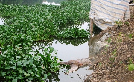 Phát hiện xác chết đã phân hủy trên sông Châu Giang    - 1