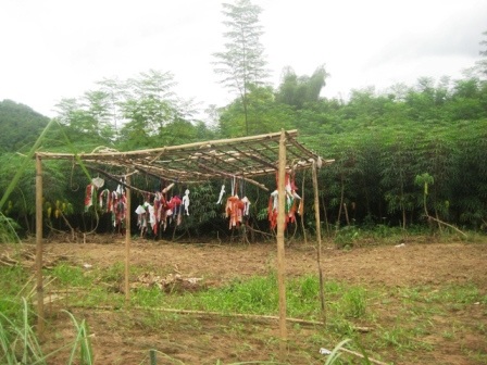 Một ngôi mộ nghi là mộ cổ có nguy cơ bị xóa sổ - 3