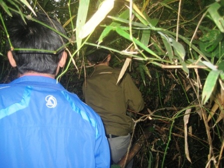 Một ngôi mộ nghi là mộ cổ có nguy cơ bị xóa sổ - 4