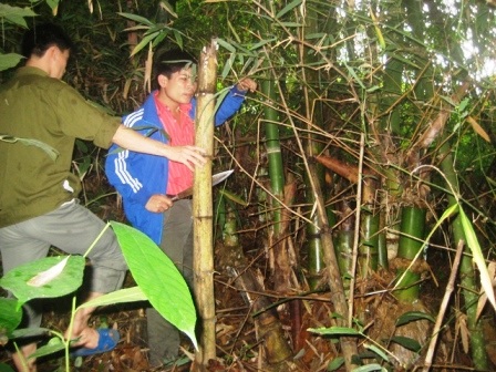 Một ngôi mộ nghi là mộ cổ có nguy cơ bị xóa sổ - 5