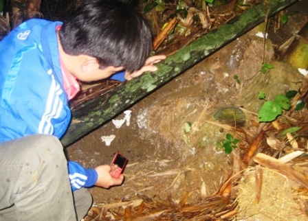 Một ngôi mộ nghi là mộ cổ có nguy cơ bị xóa sổ - 7