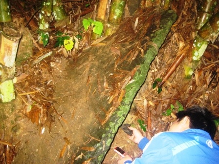 Một ngôi mộ nghi là mộ cổ có nguy cơ bị xóa sổ - 6