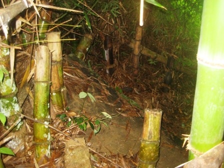 Một ngôi mộ nghi là mộ cổ có nguy cơ bị xóa sổ - 9