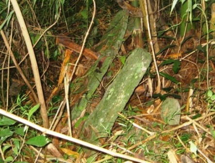 Một ngôi mộ nghi là mộ cổ có nguy cơ bị xóa sổ - 11