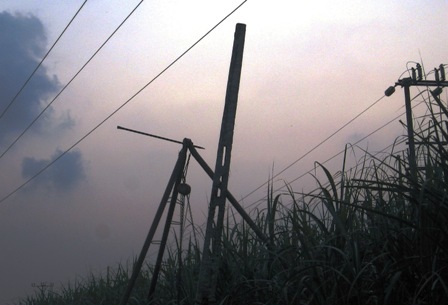 8 công nhân chết và bị thương do điện giật    - 2