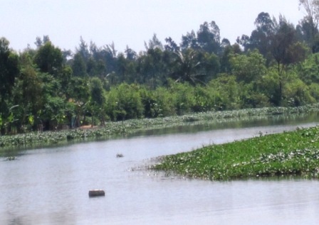 Một thiếu niên mất mạng sau khi đi hái trộm ổi   - 1