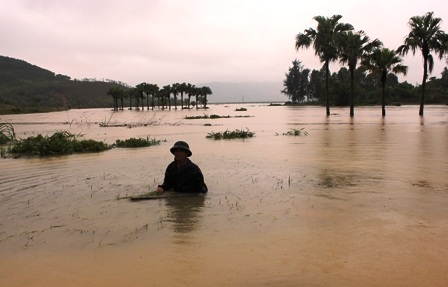 Ngập lụt nghiêm trọng, thiệt hại khoảng 200 tỉ đồng    - 12