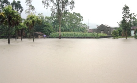 Ngập lụt nghiêm trọng, thiệt hại khoảng 200 tỉ đồng    - 13