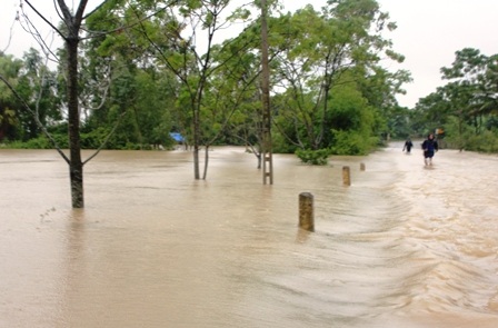 Ngập lụt nghiêm trọng, thiệt hại khoảng 200 tỉ đồng    - 7