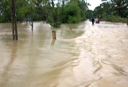 Ngập lụt nghiêm trọng, thiệt hại khoảng 200 tỉ đồng    - 8