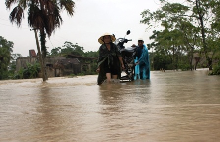 Ngập lụt nghiêm trọng, thiệt hại khoảng 200 tỉ đồng    - 10