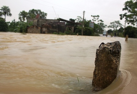 Ngập lụt nghiêm trọng, thiệt hại khoảng 200 tỉ đồng    - 6