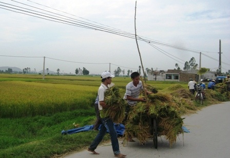 54.000 dân vùng nguy hiểm sơ tán tránh bão số 6 - 4