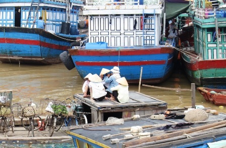 Cho học sinh nghỉ học giúp gia đình gặt lúa chạy bão    - 4