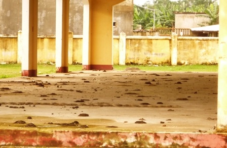 Trường lớp thiếu, chợ tiền tỷ bỏ hoang    - 2