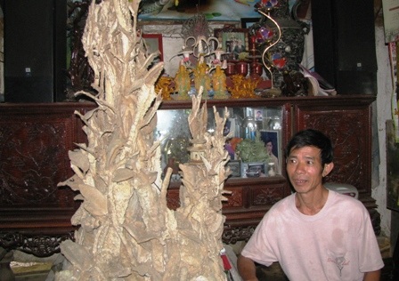 “Hét giá” 1,5 triệu “đô” cho cây gần hóa thạch - 1 “Hét giá” 1,5 triệu “đô” cho cây gần hóa thạch - 1