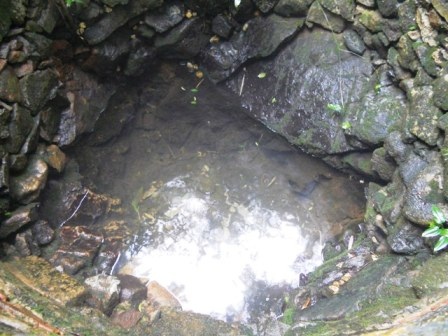 Nô nức... lội bùn đi xin nước Tiên - 3