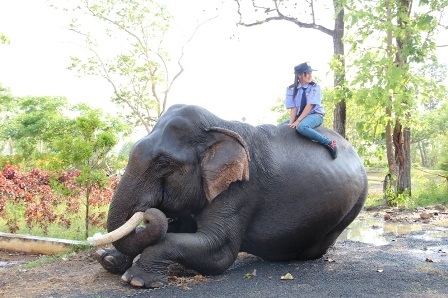 Độc đáo ngày hội Voi Buôn Đôn   
