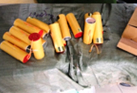 Bắt quả tang xe ô tô chở pháo điện - 1