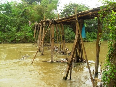20 năm chênh vênh cầu tre mục nát