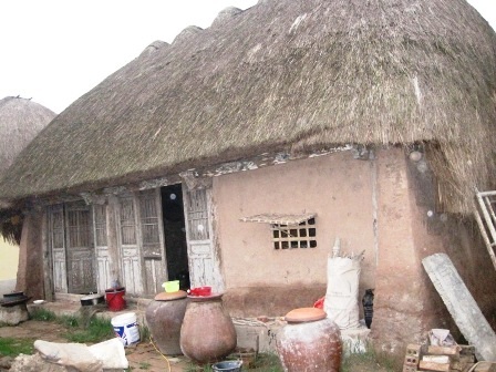 Bảo tàng lúa nước đặc biệt của một cô giáo về hưu