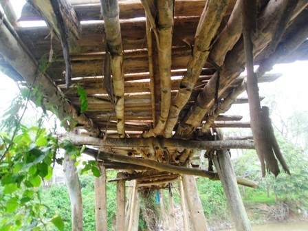 20 năm chênh vênh cầu tre mục nát