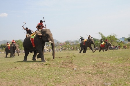 Nô nức đi xem voi... đá bóng
