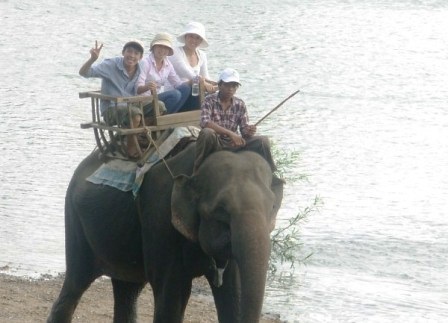 Độc đáo ngày hội Voi Buôn Đôn   