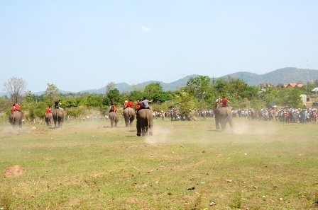 Nô nức đi xem voi... đá bóng
