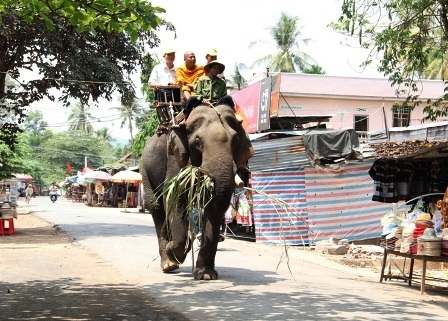 Độc đáo ngày hội Voi Buôn Đôn   