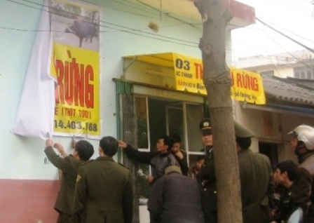 Ô tô chạy khắp phố rao bán... thịt lợn rừng - 1 Ô tô chạy khắp phố rao bán... thịt lợn rừng - 1