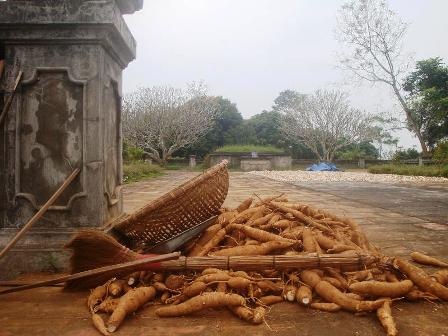 Di tích lịch sử biến thành… sân phơi - 2 Di tích lịch sử biến thành… sân phơi - 2